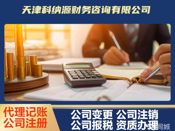 代理记账与财税管理全指南 从年检变更到税务筹划